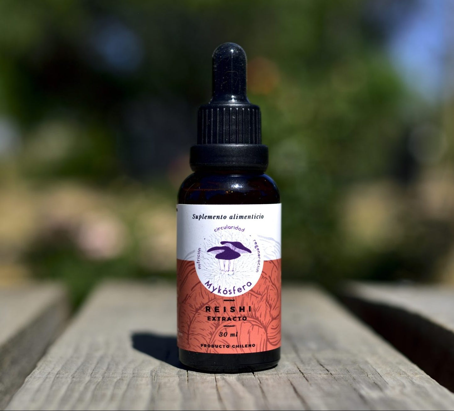 Reishi (Ganoderma lucidum) – Extracto