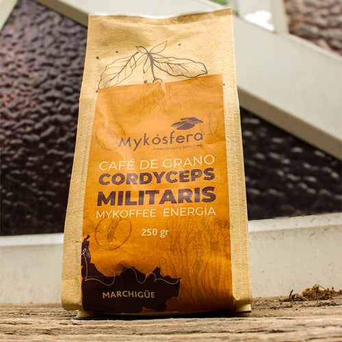 Café de Grano + Cordyceps militaris (250gr)