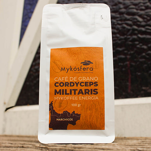 Café de Grano + Cordyceps militaris (100gr)