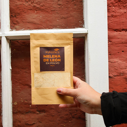 Melena de León en Polvo – DoyPack 50g