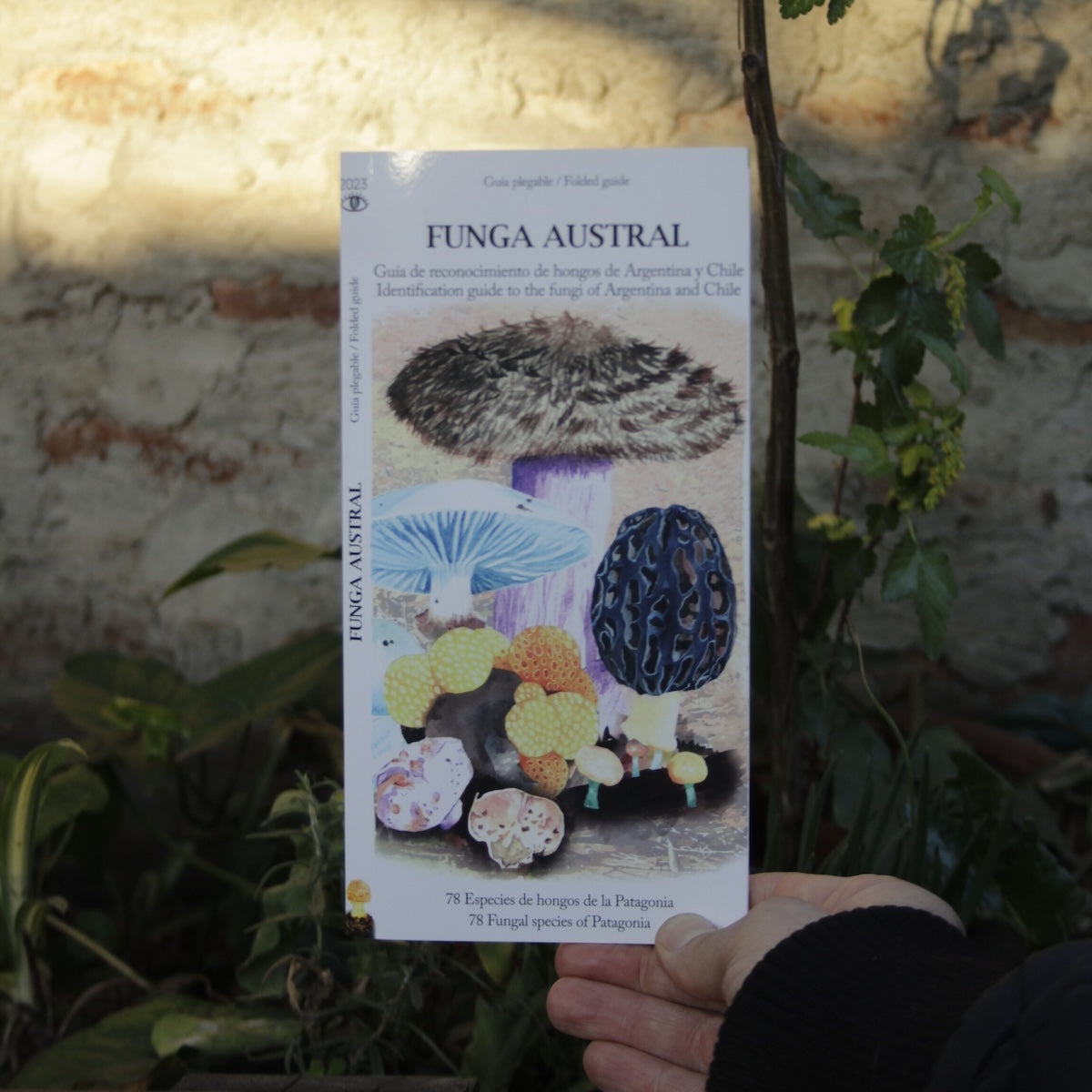 Guía Funga Austral - Naturaleza Inarrumen