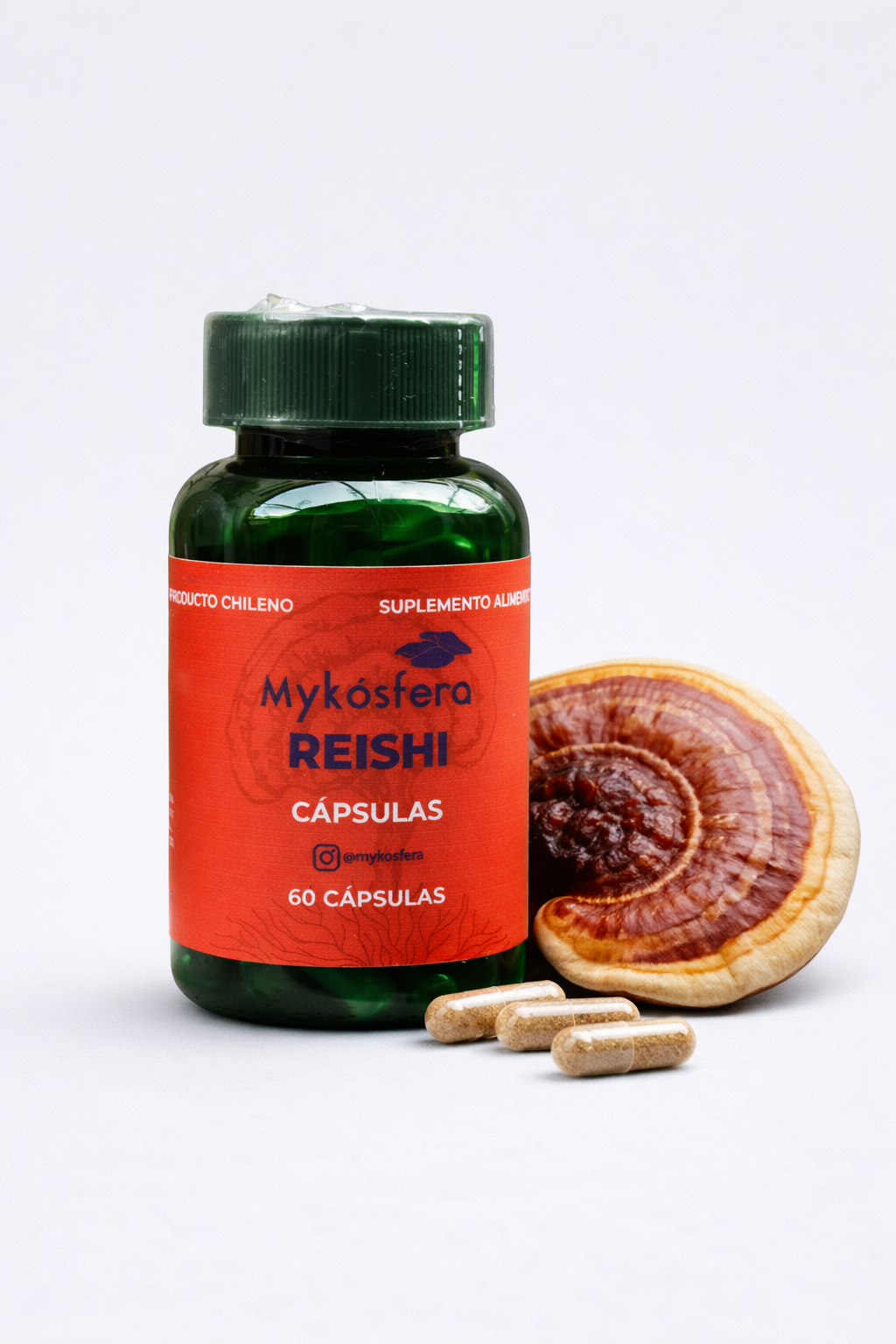 Reishi – Cápsulas