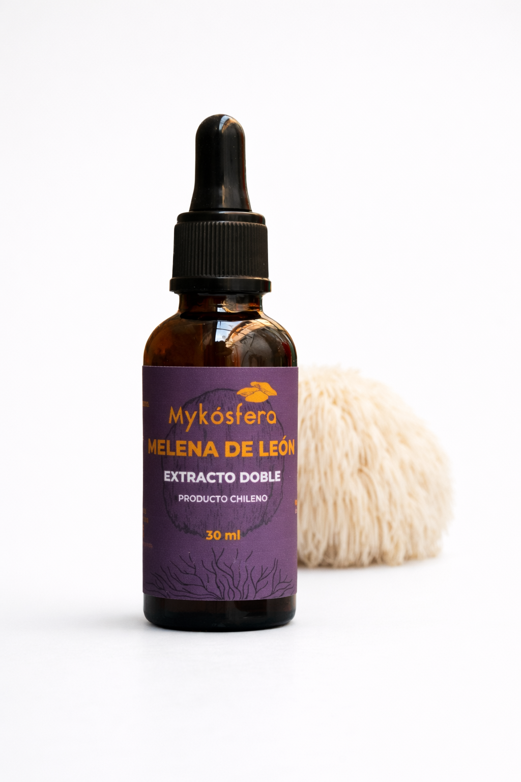 Melena de León – Extracto