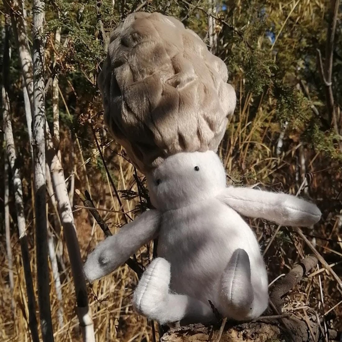 Peluche Morchela