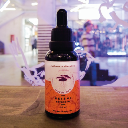 Reishi (Ganoderma lucidum) – Extracto