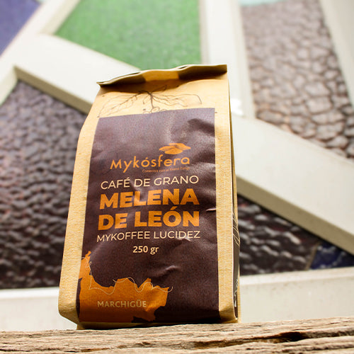Café de Grano + Melena de León (250gr)