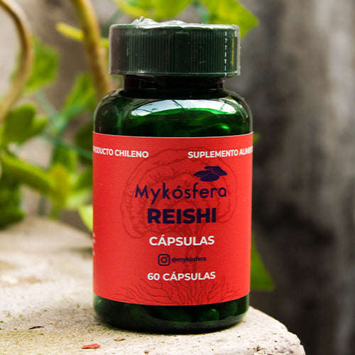 Reishi – Cápsulas