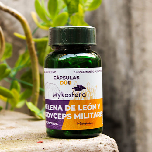 Cápsulas Dúo – Melena de León / Cordyceps militaris (500mg)