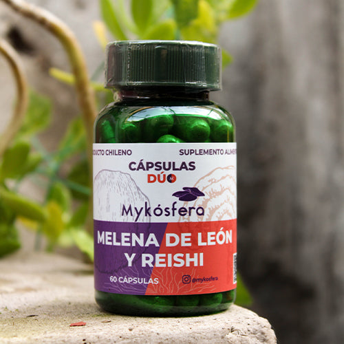 Cápsulas Dúo – Reishi / Melena de León (500mg)