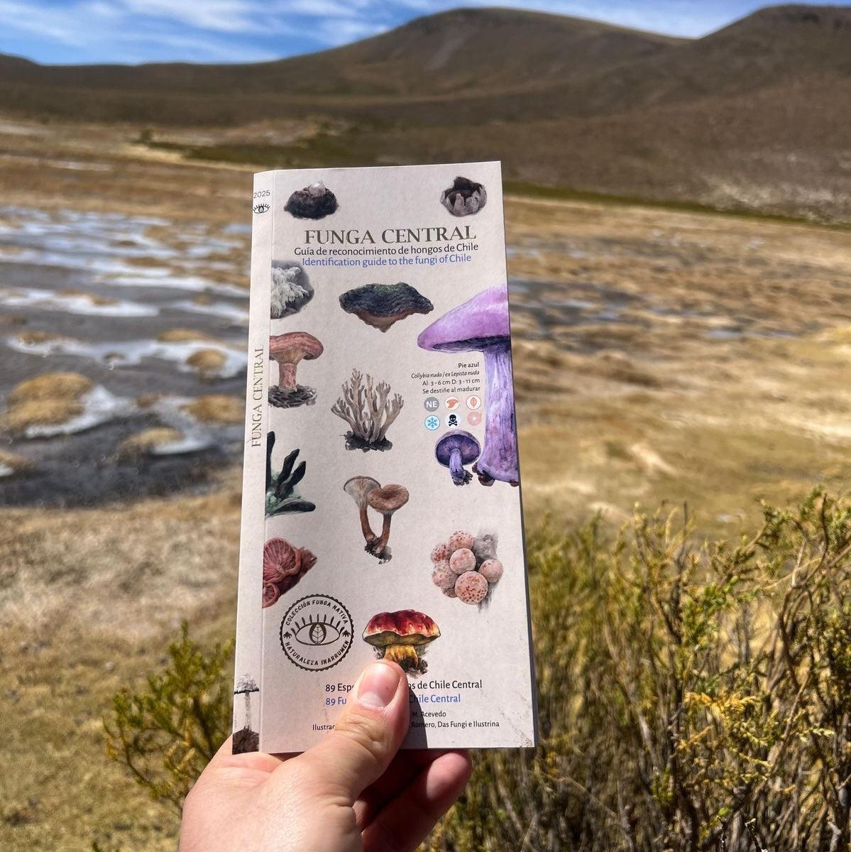 Guía Funga Central - Naturaleza Inarrumen