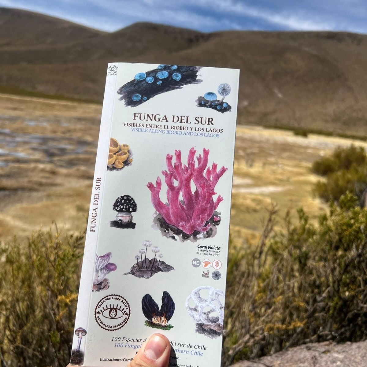 Guía Funga del Sur - Naturaleza Inarrumen