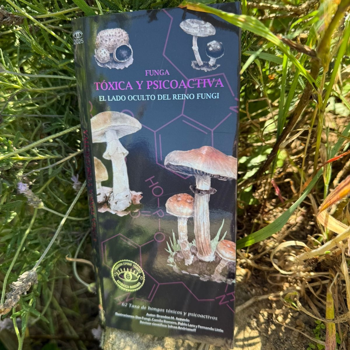 Guía Hongos Tóxica y Psicoactiva - Naturaleza Inarrumen