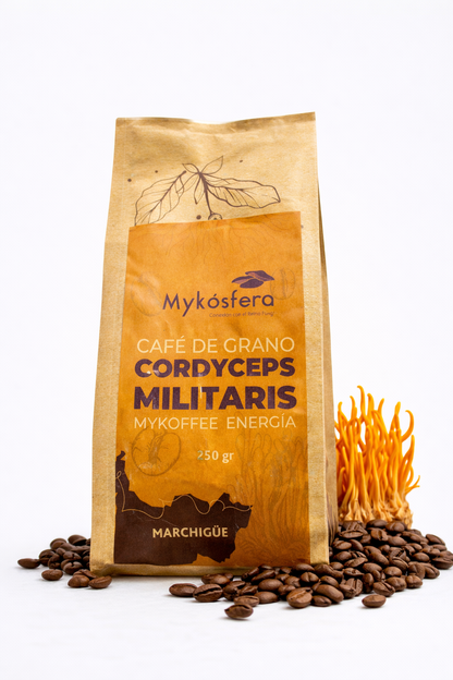 Café de Grano + Cordyceps militaris (250gr)