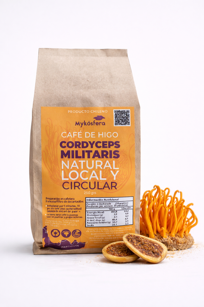 Café de Higo + Cordyceps militaris