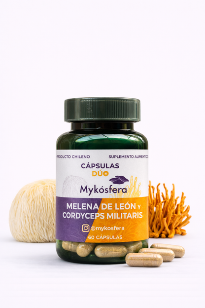 Cápsulas Dúo – Melena de León / Cordyceps militaris (500mg)