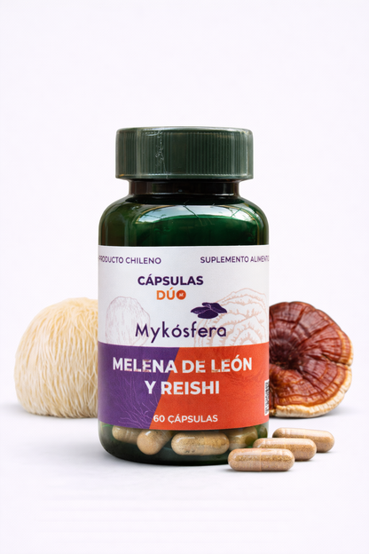 Cápsulas Dúo – Reishi / Melena de León (500mg)