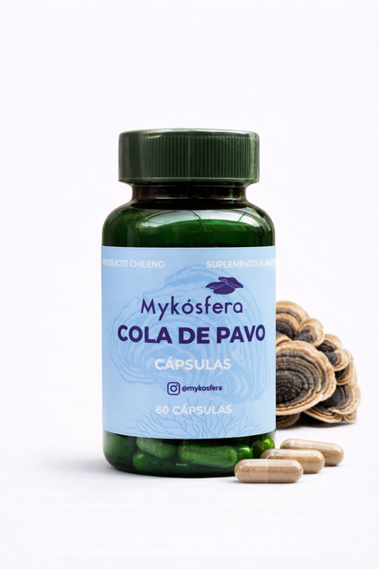Cola de Pavo – Cápsulas