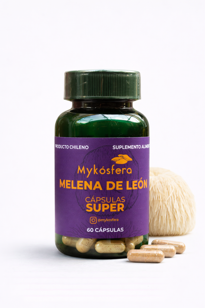 Melena de León – Super Cápsulas 500mg