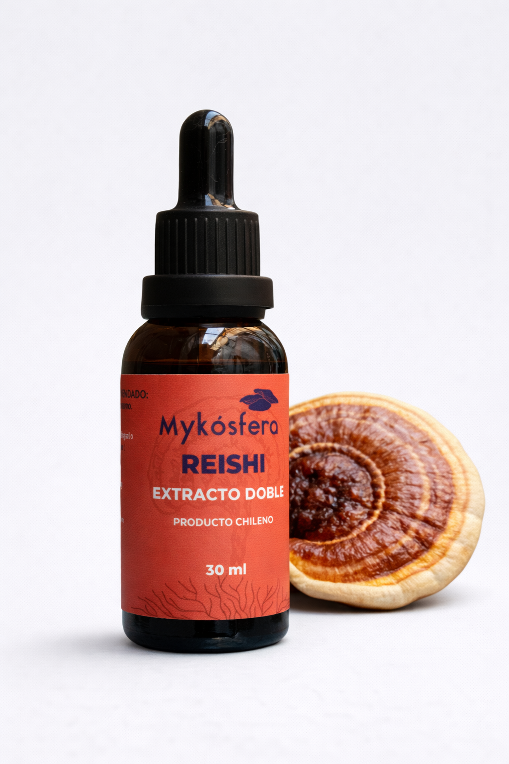 Reishi – Extracto