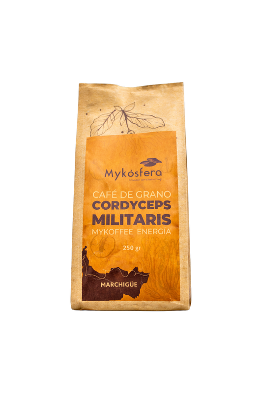 Café de Grano + Cordyceps militaris (250gr)