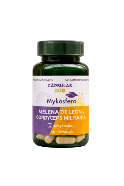 Cápsulas Dúo – Melena de León / Cordyceps militaris (500mg)