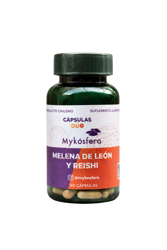 Cápsulas Dúo – Reishi / Melena de León (500mg)
