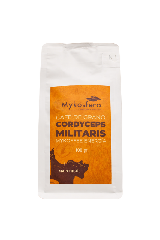 Café de Grano + Cordyceps militaris (100gr)