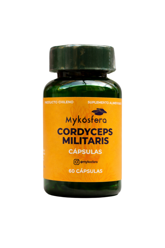 Cordyceps militaris – Cápsulas