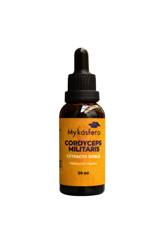 Cordyceps militaris – Extracto