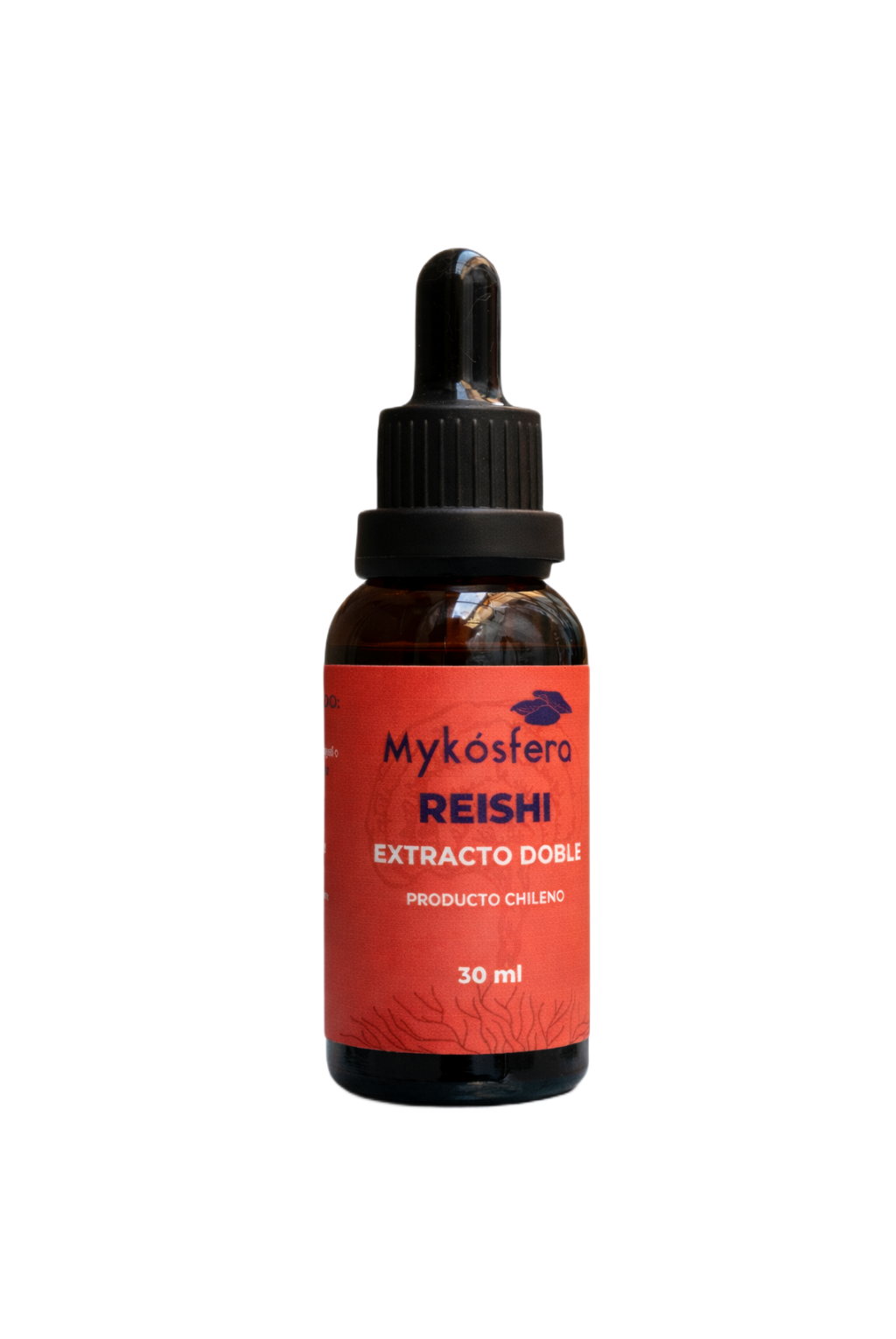 Reishi – Extracto