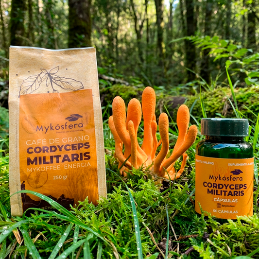 Pack Energía Café Grano